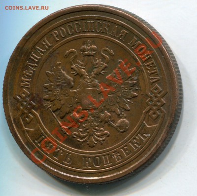 СПБ - 3131