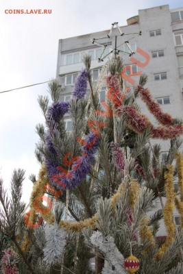 Где какая городская ёлка. - IMG_3839.JPG