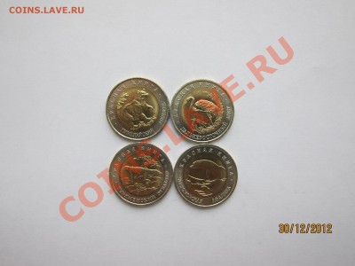 Новогодний Бонусный Аукцион. до 6.01.13 21-00 мск - КК_4_1.JPG