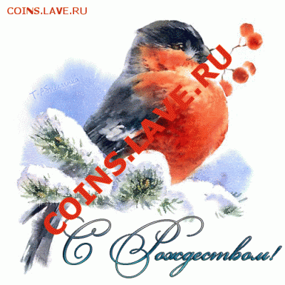 Happy New Year!!!!!!! (2013) - 0_31f09_1b70fb08_XL.jpg
