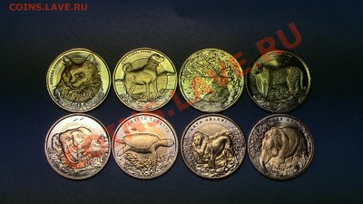 Турция биметалл 1 лира (8 монет-фауна) - IMG_0337.JPG