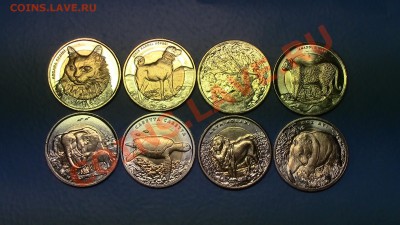 Турция биметалл 1 лира (8 монет-фауна) - IMG_0336.JPG