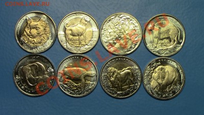 Турция биметалл 1 лира (8 монет-фауна) - IMG_0334.JPG