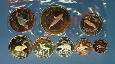 Россия - Северный полюс - 8 монет 2012г - IMG_0224.JPG