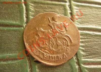Полушка 1785 км в шерсти - P1080934.JPG