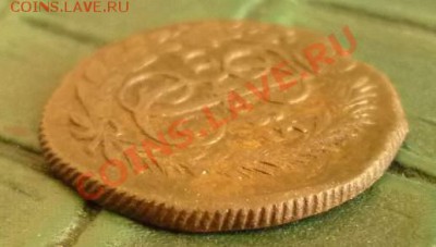 Полушка 1785 км в шерсти - P1080944.JPG