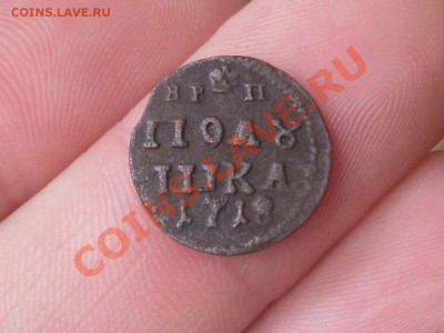 Полушки 1718, 1720 - SDC10965.JPG