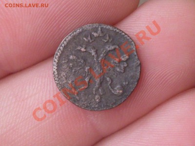 Полушки 1718, 1720 - SDC10964.JPG