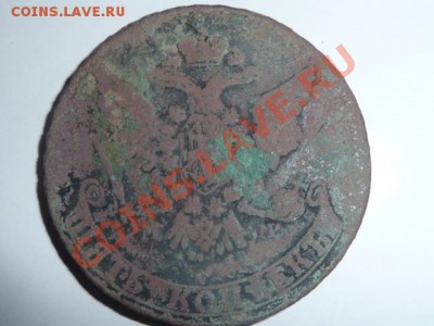 Два Катиных пятачка СМ и ММ - P1140721.JPG