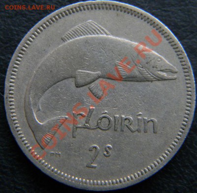 флорин Ирландия 1961г. - DSCN4634.JPG