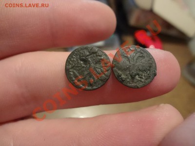 Полушки Врп 1721г 2шт Разные - DSC01530.JPG