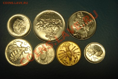 МОНЕТЫ МИРА (пополняемая) - DSC01260.JPG