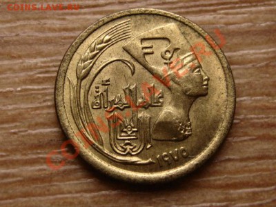 йЕгипет 5 миллимов 1975 Нефертити до 07.01.13 в 12.00 М - IMG_8861