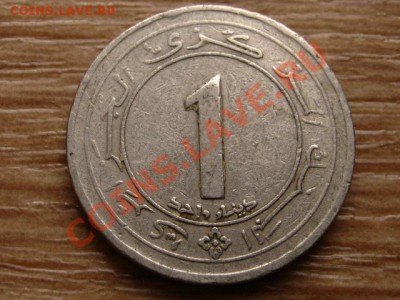 Алжир 1 динар 1987 .25 лет.  до 07.01.13 в 12.00 М - IMG_8878