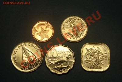 МОНЕТЫ МИРА (пополняемая) - DSC01377.JPG