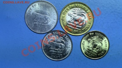 МОНЕТЫ МИРА (пополняемая) - IMG_0375.JPG