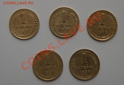 ранние копеечки - _MG_1445