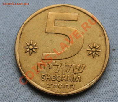 ИЗРАИЛЬ 5 шекелей РОГ ИЗОБИЛИЯ до 10.01.13г. 22-00 - IMG_4119.JPG