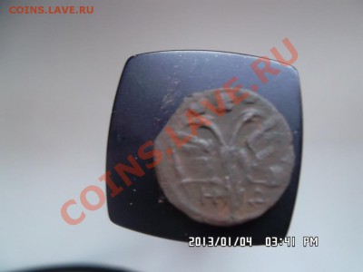 полушка 1719 года - SAM_0575.JPG