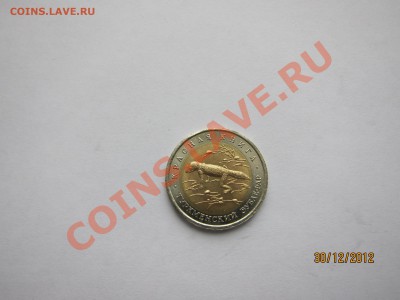 Новогодний Бонусный Аукцион. до 6.01.13 21-00 мск - КК_1.JPG