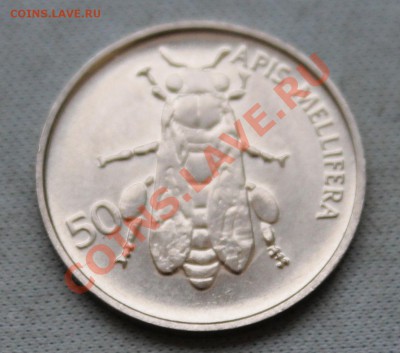 СЛОВЕНИЯ 50стотинов 1996г. МУХА!!! до 10.01.13г. 22-00 - IMG_4337.JPG