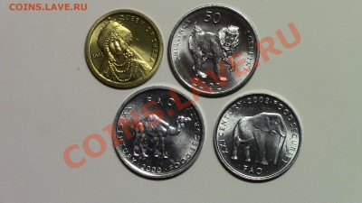 МОНЕТЫ МИРА (пополняемая) - IMG_0411.JPG
