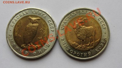 Красная Книга 1991 Филин + Козёл(мешковые) до 22.00 09.01.13 - IMG_0085.JPG