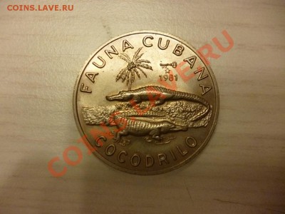 Куба 1 песо крокодилы 08.01 - P1000149.JPG