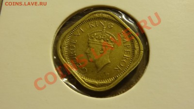 2 анны 1942 до 08.01. в 22:00 - DSC00215.JPG