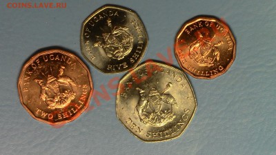 МОНЕТЫ МИРА (пополняемая) - IMG_1070.JPG