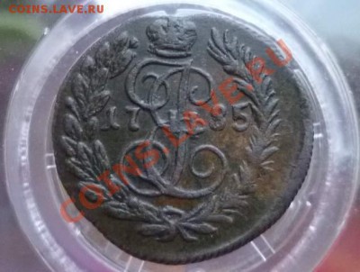 Полушка 1785км.Окончание-7 января  в 22.00 - P1090127.JPG