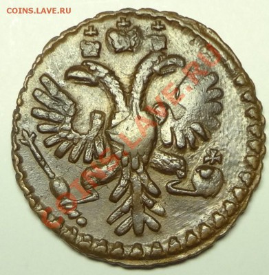 Полушка 1731 с "медузой" - DSC02378.JPG