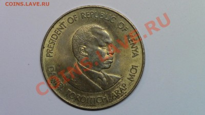 МОНЕТЫ МИРА (пополняемая) - IMG_0601.JPG