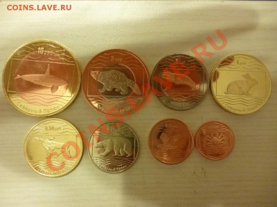 Северный полюс набор монет Россия до 10.01 - P1000240.JPG