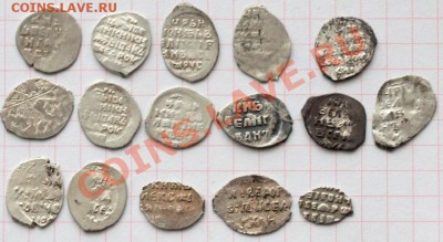 Чешуйки разные.  Оценка? - 15 Чеш.А