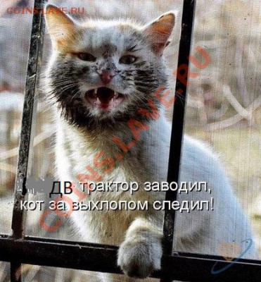 Ассоциации к аватаре - Безымянный