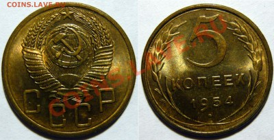 5 копеек 1954г ,aUNC ,КРАСИВЫЙ, до 15,01,13 (ВТ) в 22,00 - P1040401.JPG