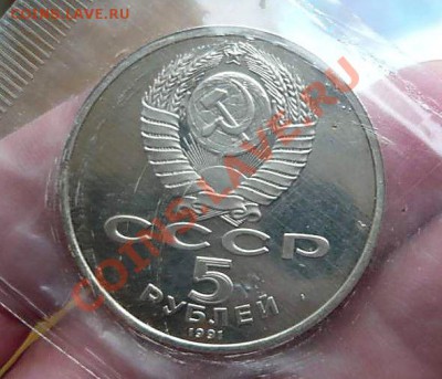 21-00 - P1160739_thumb