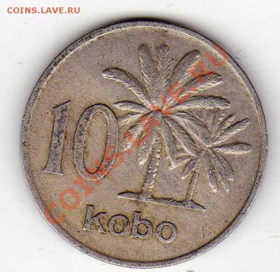 Нигерия 10 кобо 1973 до 14.01.13 в 22.00мск (4142) - img886