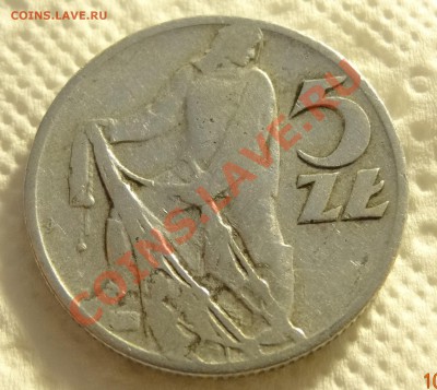 Польша 5 злотых 1959 Рыбак до 12.01 в 22:00 - DSC01292.JPG