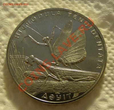 Казахстан 50 тенге 2012 Богомол до 12.01 в 22:00 - DSC01266.JPG
