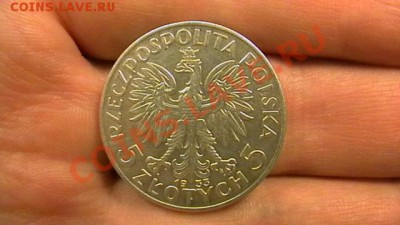 5 злотых  1933 г. Ядвига. Сохранность. - IMGA0816.JPG