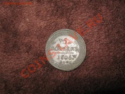 КОЛЬЦЕВИК (5к 1805) + СИБИРСКАЯ ДЕНГА (1774) - IMG_0155.JPG
