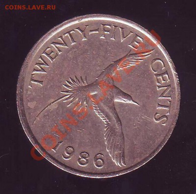 БЕРМУДЫ.25 ЦЕНТОВ.1986.ПТИЦА. до 17.01.13 в 22.00мск - Бермуды 25 центов 1986 1.JPG