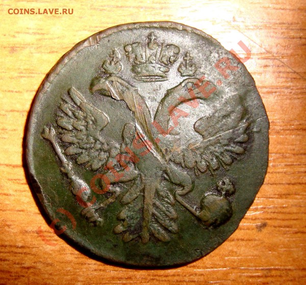 оцените денгу - DSC02516.JPG
