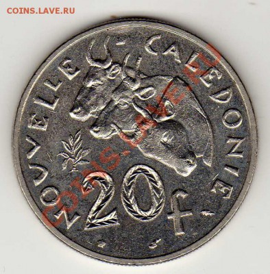 Н.КАЛЕДОНИЯ 20 ФРАНКОВ 1991 ВОЛЫ 17.01.13 В 22.00МСК (4071) - img949