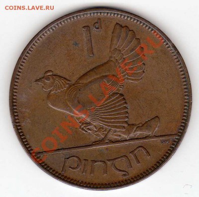 ИРЛАНДИЯ ПЕННИ 1931 КУРИЦА ДО 17.01.13 В 22.00МСК (4328) - img959