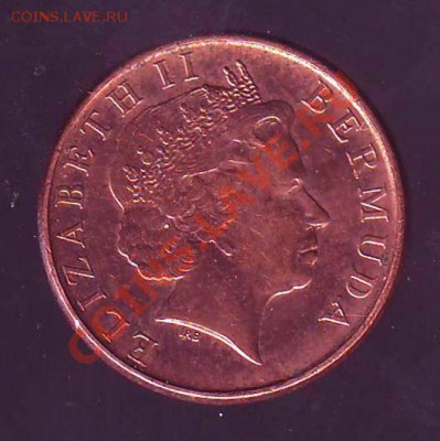 БЕРМУДЫ.ЦЕНТ.2003.СВИНЬЯ. до 18.01.13 в 22.00мск - бермуды цент 2003 1.JPG