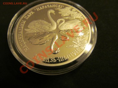 Ag Беларусь 20 руб 2003 Лебедь-Шипун до 20.01.13 21-40 мск - IMG_1228.JPG