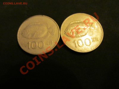 БОНУС - IMG_1234.JPG